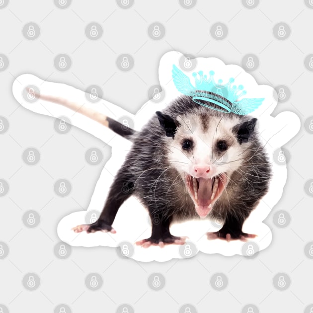 possum king Sticker by Lamink